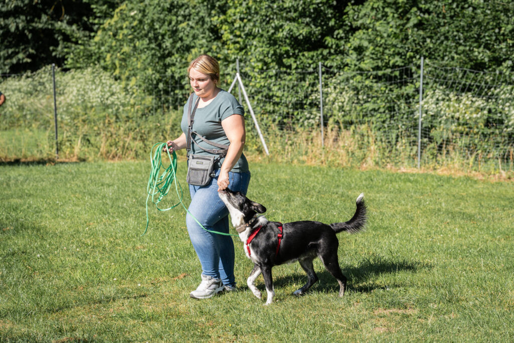 angebot-individuelles-einzeltraining-hundeschule-alfeld Eine Kundin der Hundeschule Alfeld im individuellen Einzeltraining mit ihrem Hund.