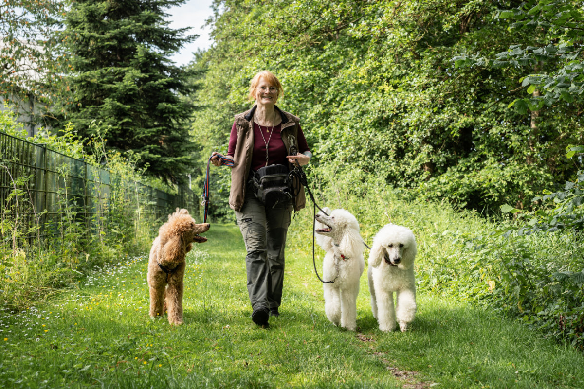 Hundetrainerin Regina Gadesmann beim Alltagstraining zur Leinenführigkeit mit ihren drei Pudeln auf einem Waldweg.